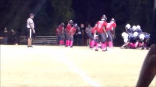 #33 Joshua Steele 2016 Highlights