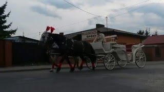 Bryczka do ślubu 23.04.2016