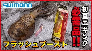 【話題のエギ/フラッシュブースト!!夏エギングの必需品！】SOTvol,49