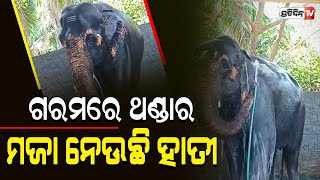 ଖରା ଗରମରେ ପାଣି ପାଇପ ଧରି ଗାଧଉଛି ହାତୀ | This Elephant Bathing Using Water Pipe