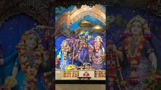 ইসকন মায়াপুর রাধামাধব দর্শন🥰 ISKCON Mayapur Radhamadhav Darshan #mayapur #iskcon #harekrishna