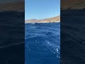 strong wind and wave on the islands of the aegean sea. greece.