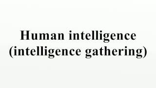 Human intelligence (intelligence gathering)
