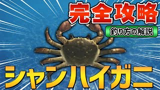 【あつ森】シャンハイガニの魚影・出現条件・釣り方のコツ徹底解説【図鑑付き】