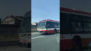 TTC | 2018 Novabus LFS 3336 Route 900 Airport Express to Kipling Station