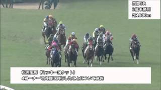 2016年1月11日京都競馬制裁事象