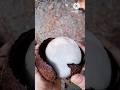 How to remove COCONUT Flesh From Shell #shorts #trending