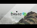 한국농수산tv 그걸 치고 남들보다 5배 딸기 더 따는 농가의 비밀~ 경북 상주