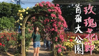 [韓國vlog] 韓國深度遊 - 玫瑰花節 + 油菜花海? Rose festival + Rape flowers