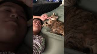 小幫手和長工 賴在懶骨頭上相親相愛🐱💛👦🏽｜小琉球平日潛水優惠、平日住宿優惠｜#小琉球首選民宿推薦 #包棟民宿 #潛水民宿 #貓民宿 #潛水證照 #潛水課程 #體驗潛水 #fundiving