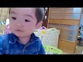 幼児に締め出される父親（飼い主）と元猟犬