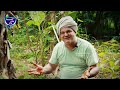 இந்தியா வந்துதான் நான் சந்தோஷத்தை கண்டுபிடிச்சேன் krishna mckenzie auroville organic farming