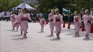 刻 第３回ふくのやまよさこい２０１８ばら花壇裏