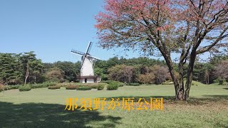 【栃木県那須塩原市】那須野が原公園　秋の気配