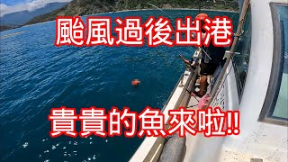 凱米颱風過後第一次出港 南澳 朝陽漁港 船釣 歐西里斯號