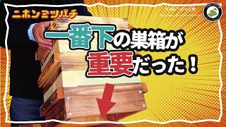 分蜂群が入りやすい【ニホンミツバチにとって住みやすい巣箱とは？】経験を元に考えてみた　日本みつばちの養蜂 How to Beekeeping