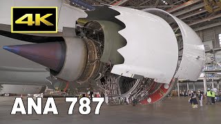 [4K] Boeing 787 engine cover opened / All Nippon airways Being 787-9 / 羽田空港