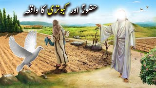 Hazoor saw aur Kabootari Ka Waqiya | Islamic Stories | Islamic LifeCycle