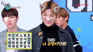 Amigo TV Season 4 Ep.1 - Kang Daniel Full Cut