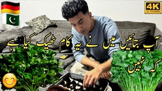 Sardi ke din or hamra khana peena/ Aj dahnia laga hi dia/#dailyvlog #desilifeingermany