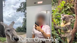 Sub) 외항사 승무원 vlog |  🐨 비행가서 코알라 보려다 🐓 새한테 삥 뜯김 | cabin crew vlog in Brisbane 🇦🇺