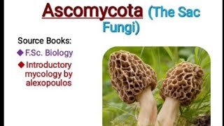 Ascomycota the sac fungi introductory mycology @fungi