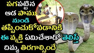 పాము నుండి తప్పించుకోవడానికి మాస్టర్ ప్లాన్|Shocking Decession Of Man To Avoid Threat From Snake