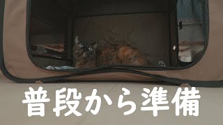 大地震が来た時のための猫用の準備について