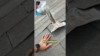 How plumbing can cause roofing issues