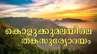 കൊളുക്കുമലയിലെ  തങ്കസൂര്യോദയം | Kolukkumalai | Munnar | Vowstay