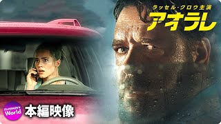 ラッセル・クロウ主演！映画『アオラレ』本編冒頭映像