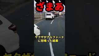 【DQN】ヤクザが輩アルファードに怒鳴った結果… #www #tv #splatoon3 #bgm #twitter #music #automobile #ヤンキー #事故 #戦慄 #コント