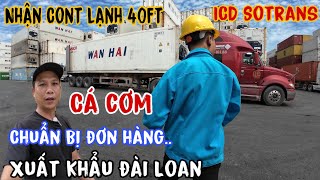 P1 - Nhận rỗng lạnh 40ft chuẩn bị cho đơn hàng cá cơm xuất khẩu Đài Loan