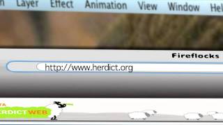 What's the Herdict?