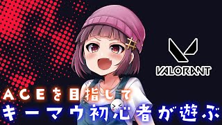 【VALORANT】キーマウ初心者に教えてください【参加型】