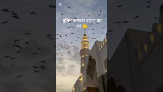 মুমিন কখনো হতাশ হয় না | আল্লামা দেলোয়ার হোসেন সাঈদী || দাওয়াত ও তাবলীগ ||  #shorts #islamic