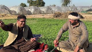 Cholistani Cow. breeder Ali Randhwa di Anjum Saroya naal Mulakat /Cholistani Cow mela da sadda.