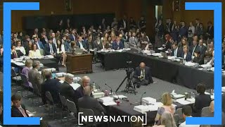 How old is too old to serve the American people? | Elizabeth Vargas Reports