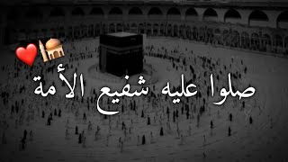 صلوا عليه شفيع الأمة 📿 حالات واتس اب عيد مولد النبي🕌❤️ستوريات انستغرام🥀حالات واتس اب دينيه قصيره🕋💛