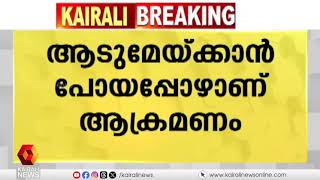 വീണ്ടും ജീവനെടുത്ത് കാട്ടാന; സ്ത്രീ കൊല്ലപ്പെട്ടു | Wild elephant