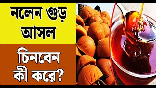 Nolen Gur | নলেন গুড় আসল না নকল, চিনবেন কী করে? | Winter | Patali Gur