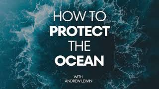 Cruise Ships and Ocean Pollution: The Hidden Impact of Scrubber Technology