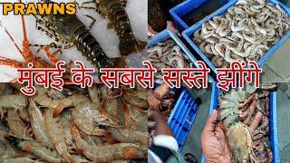 Biggest Prawns Market (Jhinge) In Mumbai Sabse Sasta Jhinge At CST Fish Market Price Update 2023