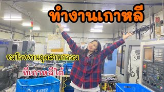 ทำงานเกาหลีใต้ รีวิวโรงงานอุตสาหกรรมเกาหลีใต้ |ManjuStory