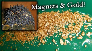 Prospecting for gold using MAGNETS.....!?