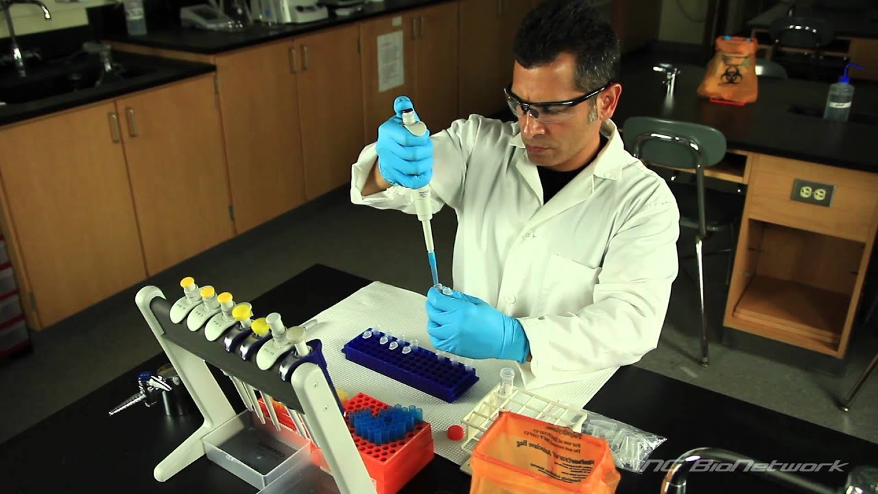 Micropipetting Youtube