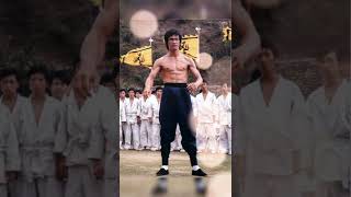 Bruce Lee nunchucks fight