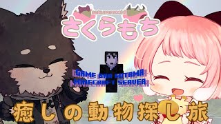 【Minecraft】#03 マイクラ初心者ぽぽまる🔰 癒しの動物探し旅 🌸.ᐟ 【VTuber / もぐもぐぽぽまる & 黒鉄ロム】