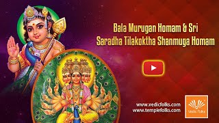 Bala Murugan Homam with Tilakoktha Shanmuga Homam | Vaikasi Visakam | Vedicfolks