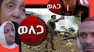 #wallga#ወለጋ  #የደም ምዲር #ምነውእዝነት ጠፋከስው ልጂላይ#abufawuzenቃላትየማይገልፅው ስቃይ #ለሀውለውላቁወተኢላቢላህ😭